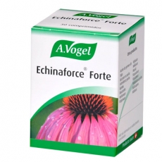 Echinaforce Forte