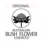 Australian bush flower