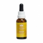 Focus Essence