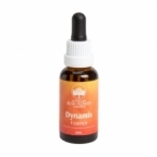 Dynamis Essence