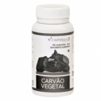 Carv&atilde;o vegetal 